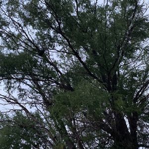 Meet your Posher, Bob